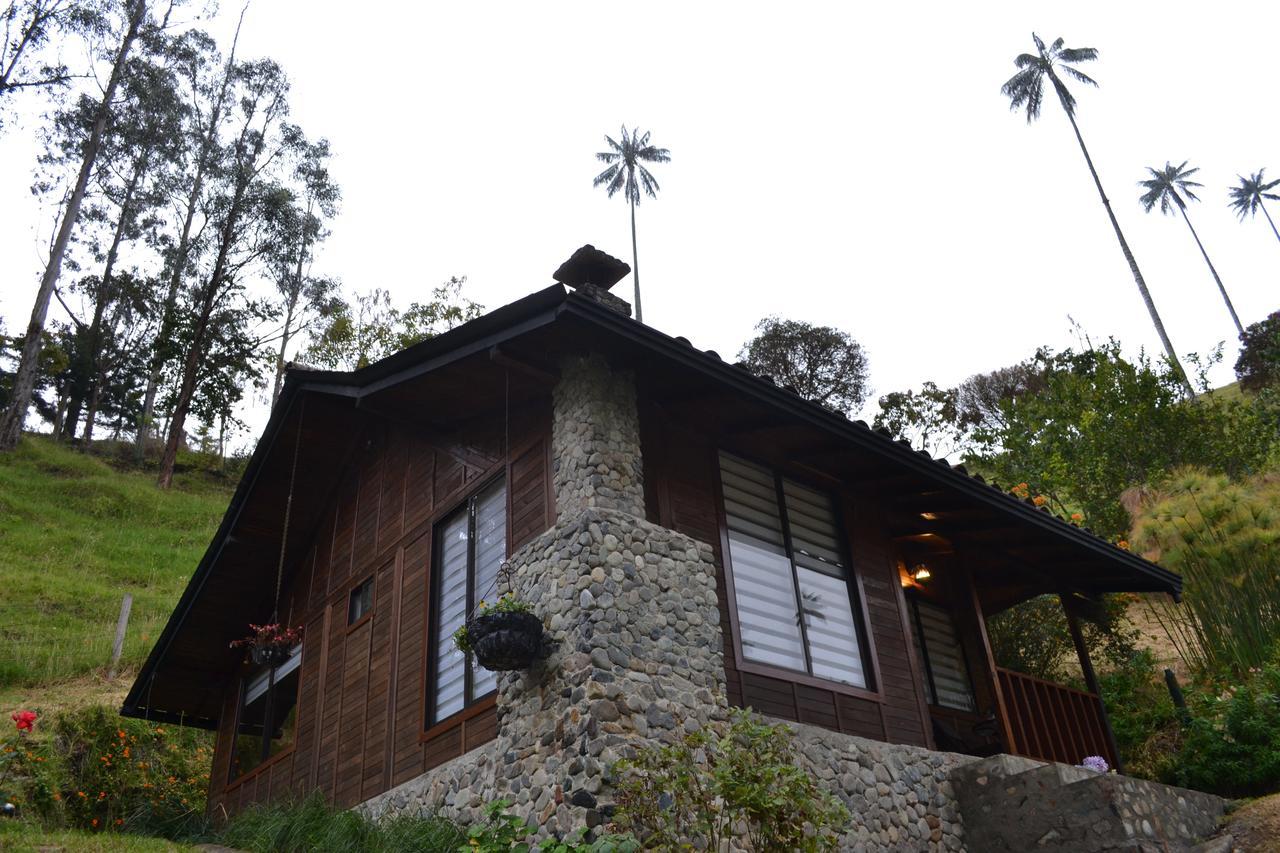 Cabanas Valle Del Cocora La Truchera Salento Exterior photo