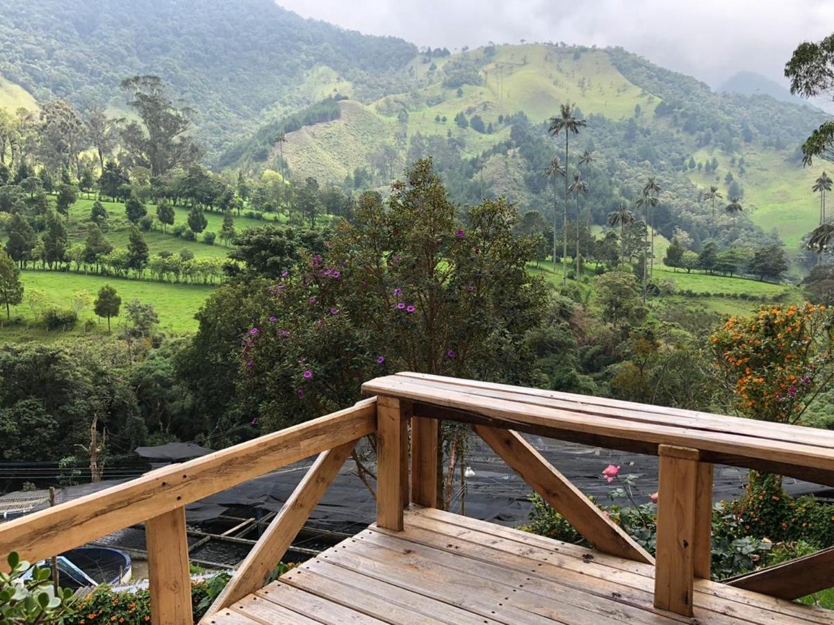 Cabanas Valle Del Cocora La Truchera Salento Exterior photo