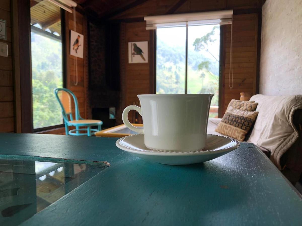 Cabanas Valle Del Cocora La Truchera Salento Exterior photo
